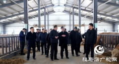 新蔡县人大调研组到泌阳县开展集中视察活动