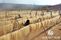 驻马店市驿城区：红薯产业鼓起村民“钱袋子”