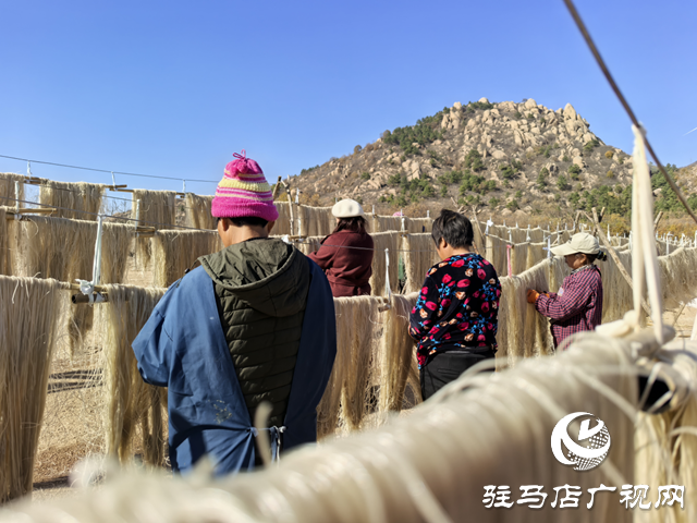 驻马店市驿城区：红薯产业鼓起村民“钱袋子”