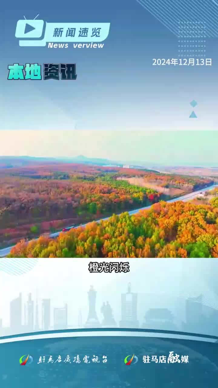 河南失业保险金标准提高；元旦放假通知来了！不调休；春运抢票开始提前90天预约？假的|《新闻速览》