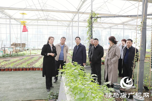 驿城区人民检察院：深入推进人民监督工作  提升检察履职透明度和效能