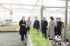 驿城区人民检察院：深入推进人民监督工作  提升检察履职透明度和效能