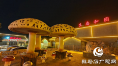 泌阳县和园景区：远离城市喧嚣 静享诗意慢生活
