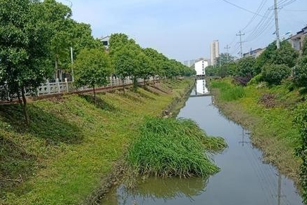 遂平县车站街道扎实推进河道治理工作