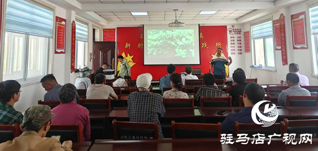驿城区水屯镇：技能赋能 筑梦未来