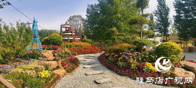 驻马店驿城区魏庄村：百亩花海织锦绣 文旅新篇引客来