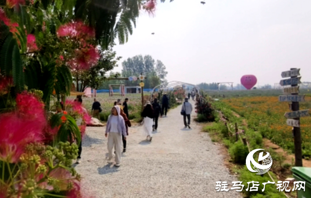 驻马店驿城区魏庄村：百亩花海织锦绣 文旅新篇引客来