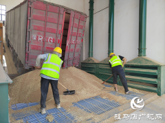 夏粮收购正当时 收购现场&ldquo;热&rdquo;翻天