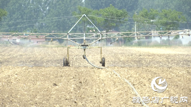 上蔡县：科技赋能农业显成效 智能灌溉助秋粮稳产
