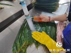 驿城区香山街道闫楼村：粽叶飘香产业旺 群众家门口端稳就业“饭碗”