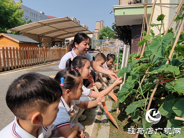 “育”见未来·名师风采丨耿显秋：以爱为舟 载梦童行