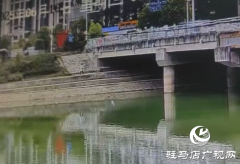 练江河畔“生命圈”立新功 市民合力救起落水青年