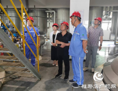 驻马店经济开发区开源办事处：织密基层安全网 护航企业平安发展