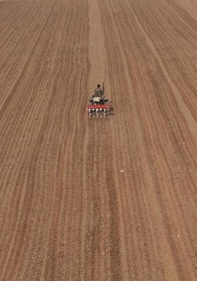 截至6月13日，河南夏播面积8297万亩