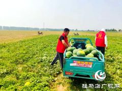 遂平县车站街道：情系瓜农解急难 爱心助销人心暖