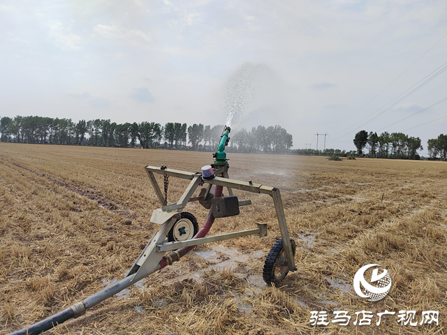 西平县嫘祖镇兰衣赵村：抗旱造墒夏种忙 智慧灌溉护粮安