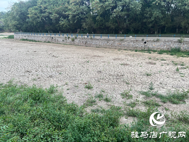 驻马店市南海公园湖水干涸见底 记者实地探访