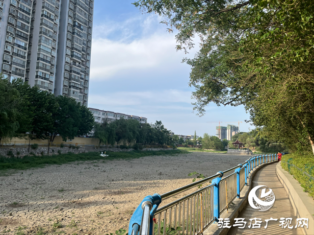 驻马店市南海公园湖水干涸见底 记者实地探访
