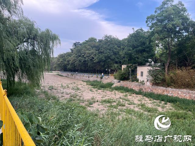 驻马店市南海公园湖水干涸见底 记者实地探访