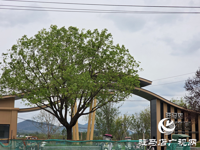 驻马店植物园夏日焕新 文明游园宣传先行