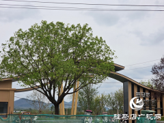 驻马店植物园夏日焕新 文明游园宣传先行