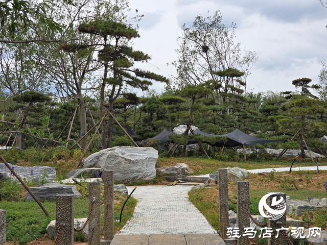 驻马店植物园夏日焕新 文明游园宣传先行
