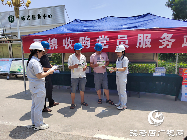 中央储备粮驻马店直属库：全力以赴打赢夏粮收购攻坚战 让每粒麦子安心入仓