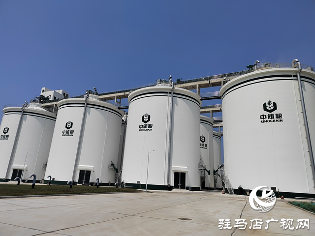 中央储备粮驻马店直属库：全力以赴打赢夏粮收购攻坚战 让每粒麦子安心入仓