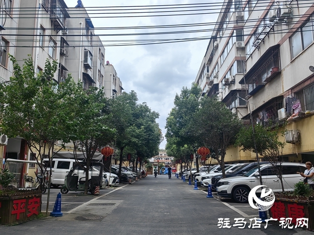 驿城区“红色物业”激活老旧小区新活力 昔日“老破旧”变身幸福家园