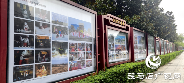 驻马店市第二届摄影艺术展开展