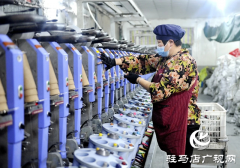 新蔡县：培育壮大纺织服装产业集群 为县域经济发展注入强劲动力