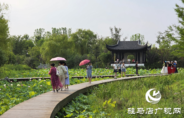避暑首选!练江湖 置地公园为驻马店市民送清凉