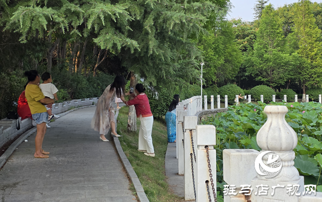 避暑首选!练江湖 置地公园为驻马店市民送清凉