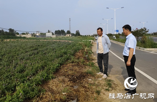 驿城区朱古洞乡:特色种养殖产业激活乡村振兴“新引擎”