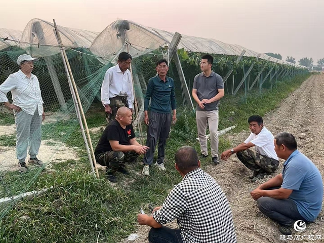 正阳县寒冻镇:开通服务群众热线 打通基层治理“最后一米”