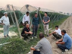 正阳县寒冻镇：开通服务群众热线 打通基层治理&ldquo;最后一米&rdquo;