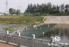 练江河坝下玩水隐患大 呼吁市民不要涉水