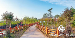 正阳县新彭桥乡大刘村：生态文明建设 构筑美丽乡村