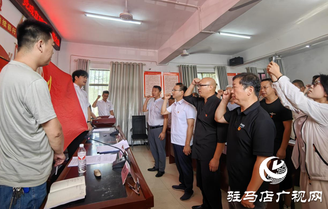 驿城区朱古洞乡柴坡村:誓言铿锵铭初心 薪火相传启新程