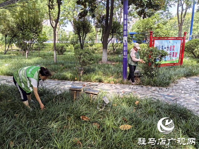 驻马店经济开发区城市管理局:精细管理显成效 清除杂草美环境