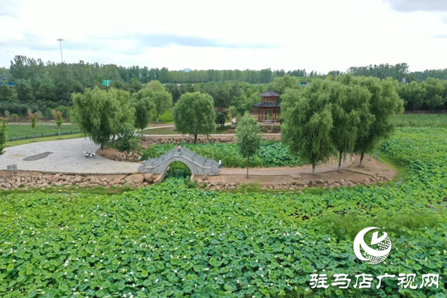 【大美天中】泌阳现“水晶天”!汉风古韵与湖光云影同框