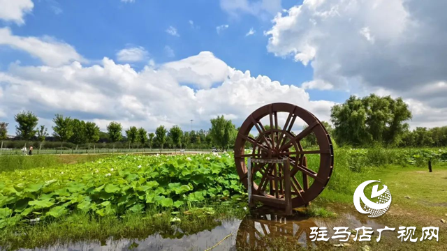 【大美天中】泌阳现“水晶天”!汉风古韵与湖光云影同框