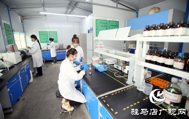 驻马店高新区:科技赋能产业升级 创新引领经济腾飞