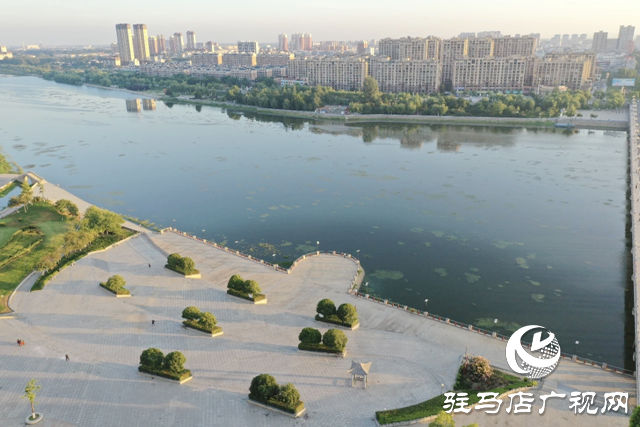 【大美天中】金晖铺就泌阳画 晨韵流淌故乡情