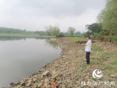 驿城区沙河店镇：常态巡河不放松 筑牢水域“安全网”