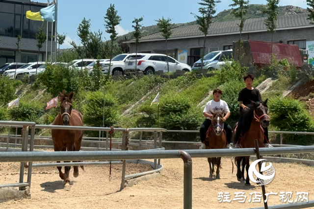 确山乐山驿站:串联周边旅游资源 打造马术+文旅新样本