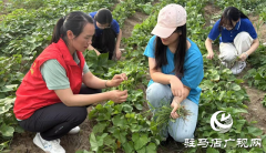 黄淮学院：以科创之力服务&ldquo;两高四着力&rdquo;战略 书写新时代青春答卷