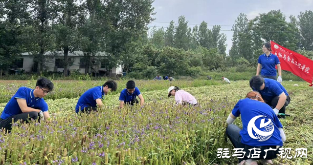 黄淮学院:以科创之力服务两高四着力战略 书写新时代青春答卷