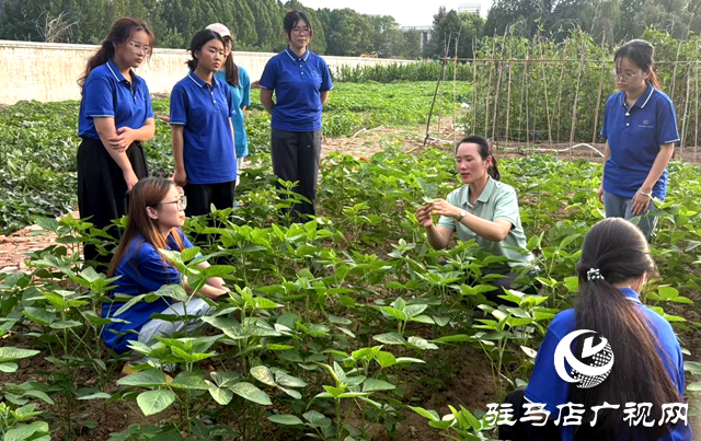 黄淮学院:以科创之力服务两高四着力战略 书写新时代青春答卷
