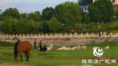 【大美天中】不输远方 泌阳湿地公园成&ldquo;家门口的阿勒泰&rdquo;